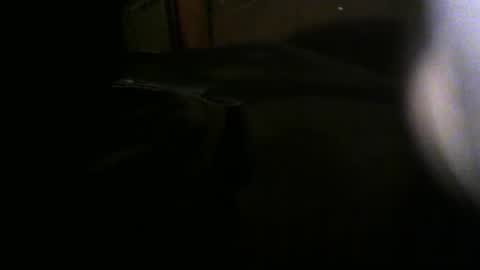 Snapshot of nthemaster1987 chatting on 10.11.25 Nthemaster online show from 10.11.25