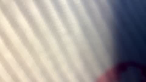 Nicol online show from 09.25.25