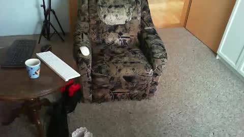 Strumpfhose online show from 11.29.25