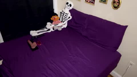 Nymphaea online show from 01.17.26