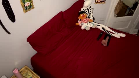 Nymphaea online show from 03.24.26