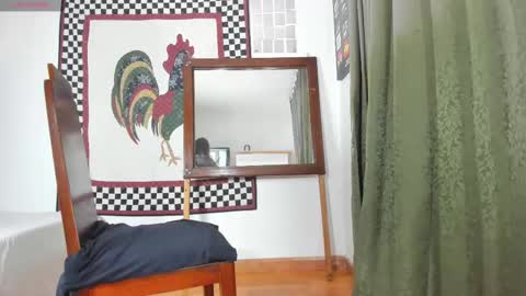 Snapshot of nyusha619933 chatting on 12.31.24 Laura nyu online show from 12.31.24