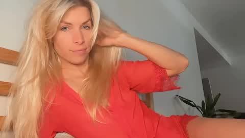 ocicatcat online show from 04.23.26