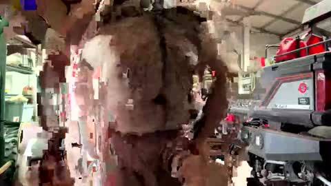 odang_13 online show from 02.21.26