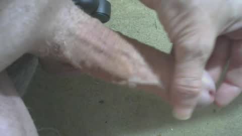 Snapshot of odentonman4fun chatting on 06.20.26 odentonman4fun online show from 06.20.26