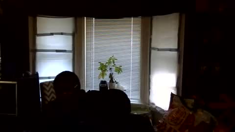 oscar flores online show from 02.16.26