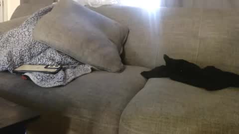 Snapshot of ogdigbick chatting on 11.04.25 OGDigBick online show from 11.04.25