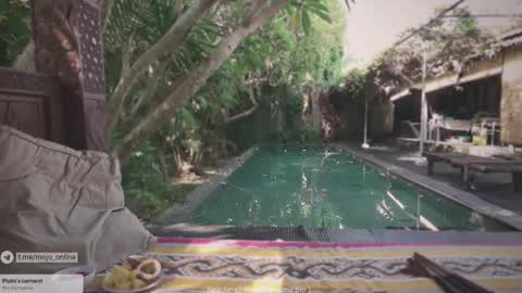 Mo online show from 11.11.25