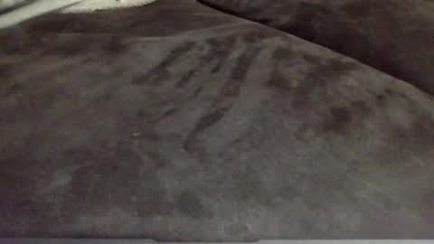 Snapshot of oktobus74 chatting on 11.13.25 oktobus74 online show from 11.13.25