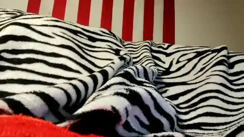 Snapshot of olewrench945706 chatting on 09.17.25 Laura online show from 09.17.25