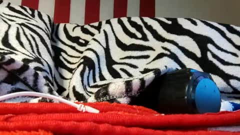 Snapshot of olewrench945706 chatting on 09.18.25 Laura online show from 09.18.25