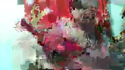 olgaaldy online show from 11.20.25