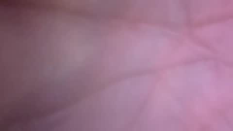 Big Dino Dick online show from 04.12.26