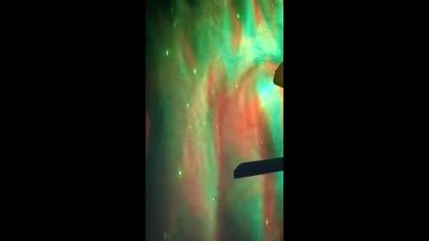 Dumbass Im done online show from 03.02.26