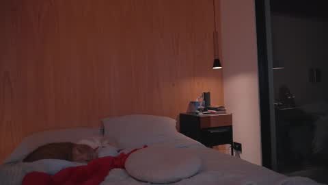 Snapshot of onelittlemermaid chatting on 12.27.24 Ariel online show from 12.27.24