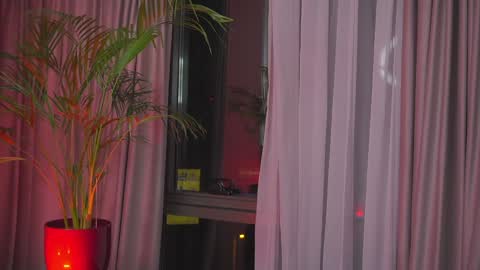 Nicolle online show from 01.30.25