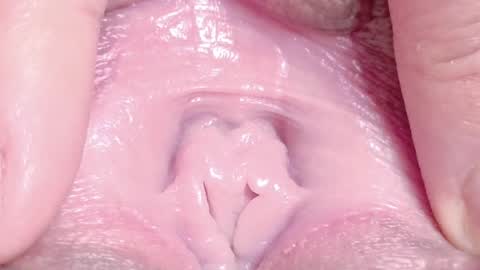 orchidekitty online show from 04.01.26