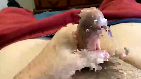 Super Soaker Oreo World online show from 12.30.24