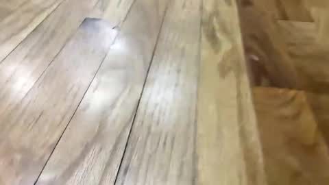 Super Soaker Oreo World online show from 11.11.25