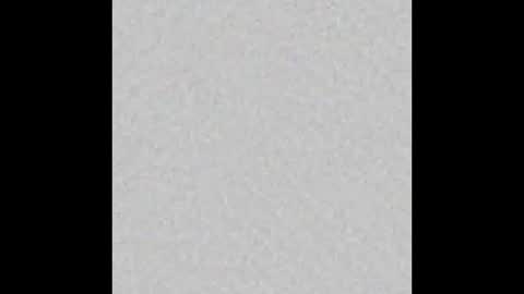 Oso Licencioso online show from 11.25.25