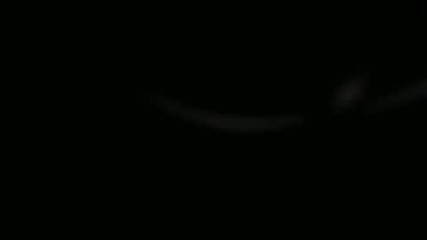 Snapshot of ossibottom chatting on 11.01.25 Ossi online show from 11.01.25