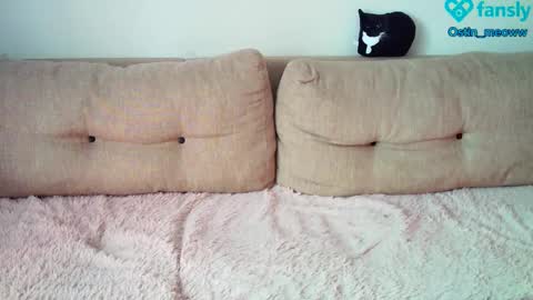 Snapshot of ostin_meoww chatting on 02.22.25 Ostin online show from 02.22.25