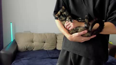 Ostin online show from 03.06.26