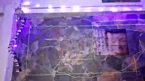 pablouyu online show from 01.01.25