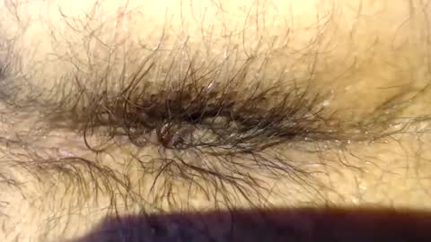 pack2 online show from 03.01.26