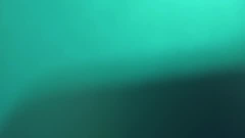 Snapshot of pala3441 chatting on 03.08.25 PALA online show from 03.08.25