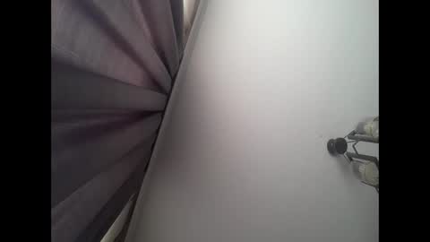   PALA online show from 12.03.25