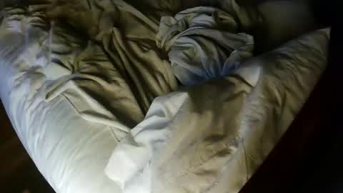 pale001zan online show from 09.29.25