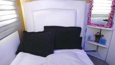 Snapshot of palmer_mix chatting on 01.11.25 Palmer online show from 01.11.25