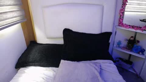 Snapshot of palmer_mix chatting on 03.04.25 Palmer online show from 03.04.25