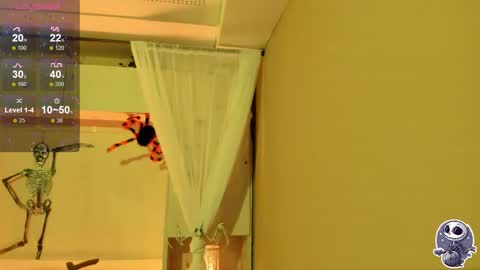 Snapshot of pamelaascott chatting on 10.12.25 P A M online show from 10.12.25