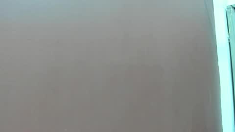  P A M  online show from 02.15.26