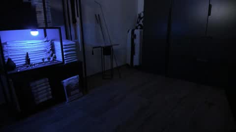 Snapshot of pampersandspanking chatting on 02.15.26 pampersandspanking online show from 02.15.26