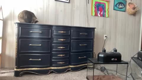 Pantiesofthefae online show from 01.20.25