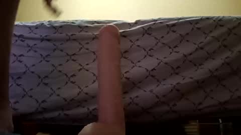 paradoxxxxl online show from 12.29.24