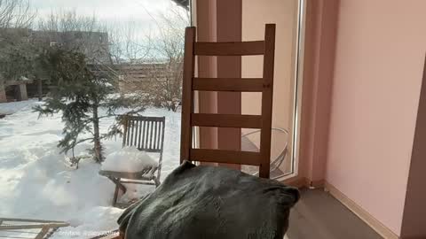 Andreea online show from 02.20.26