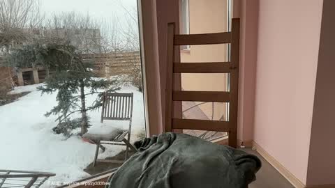 Andreea online show from 02.24.26