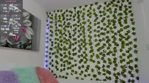 paulina online show from 03.01.25