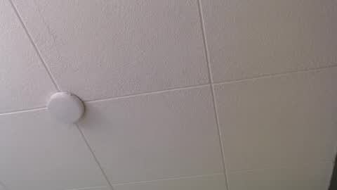 Paul online show from 10.20.25