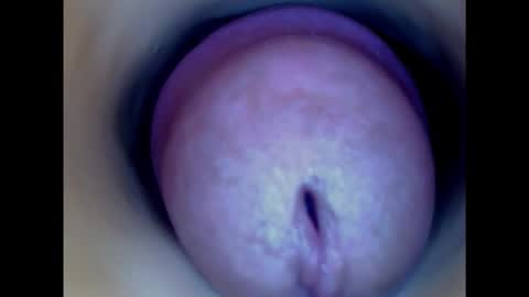 Paula 18 Aninhos online show from 01.15.25