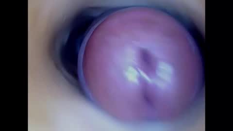 Paula 18 Aninhos online show from 01.17.25