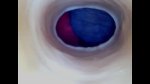 Paula 18 Aninhos online show from 01.18.25