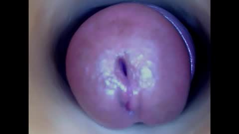 Paula 18 Aninhos online show from 01.26.25