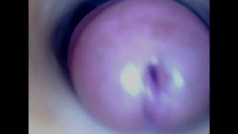 Paula 18 Aninhos online show from 01.29.25