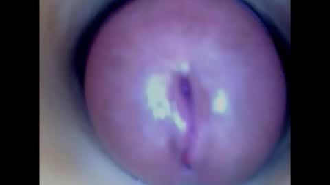 Paula 18 Aninhos online show from 01.29.25