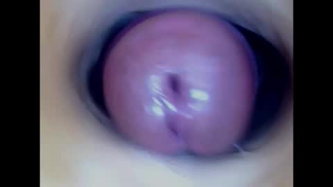 Paula 18 Aninhos online show from 01.31.25